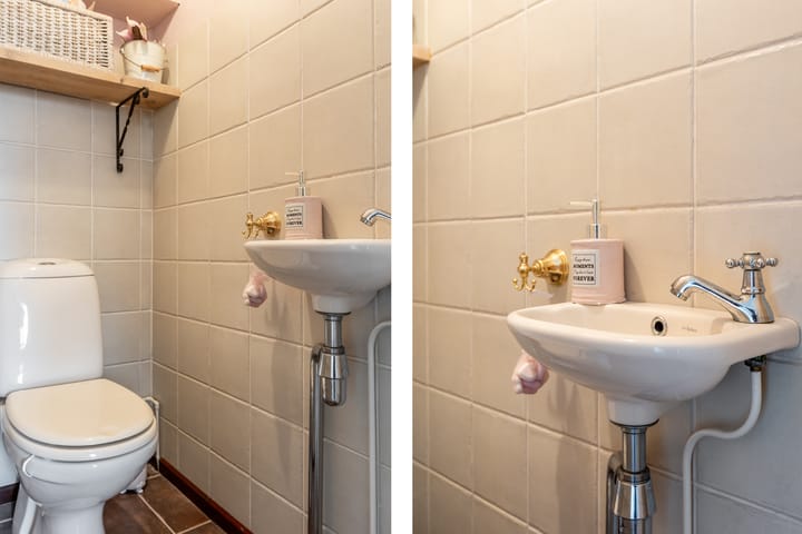 Foto 9 van Klein Hoefblad 4