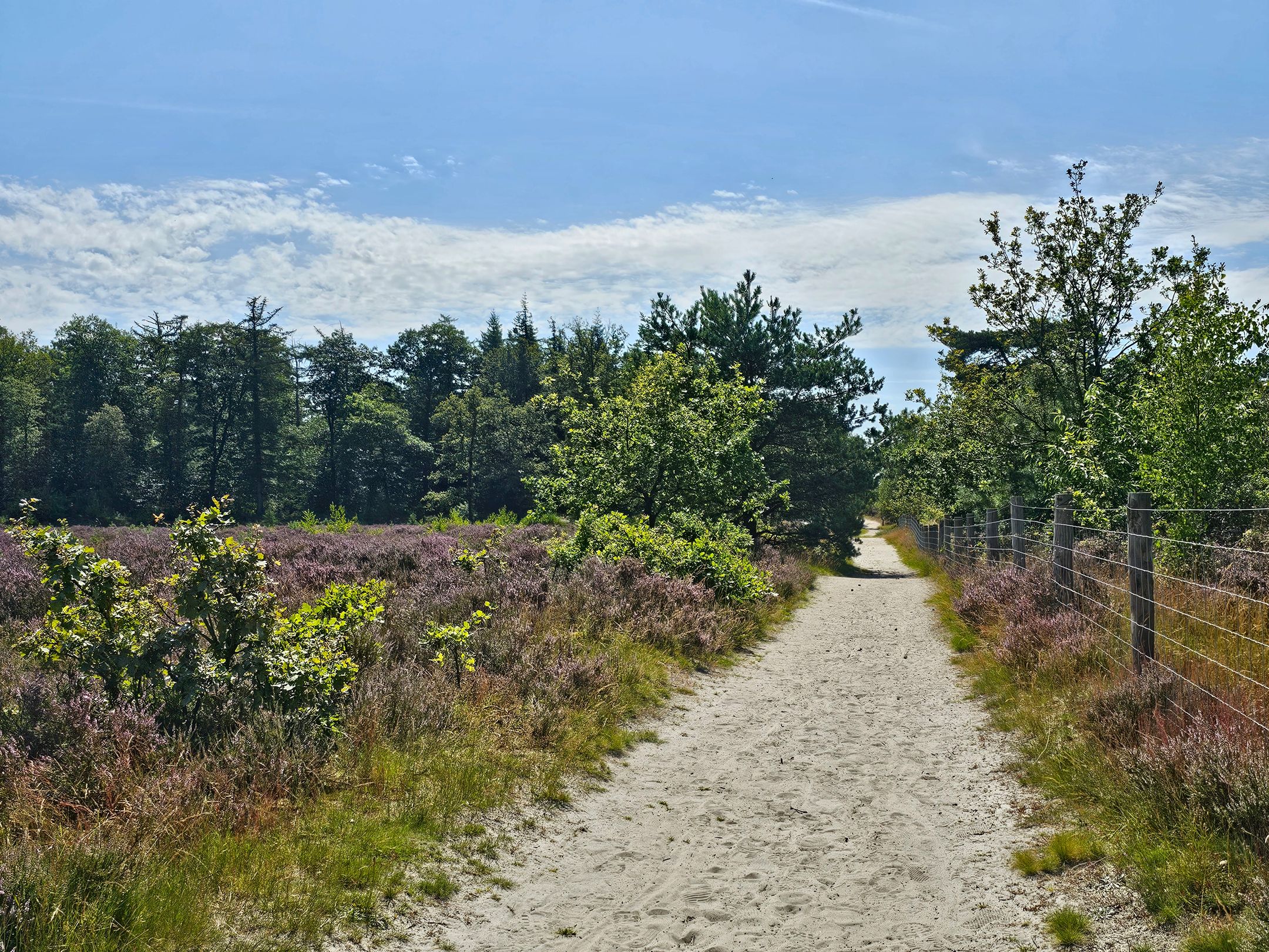 Foto 36 van Meester van Hasseltweg 14