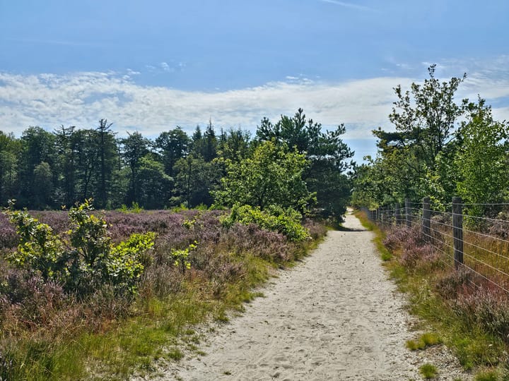 Photo 36 of Meester van Hasseltweg 14