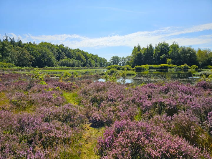 Photo 37 of Meester van Hasseltweg 14