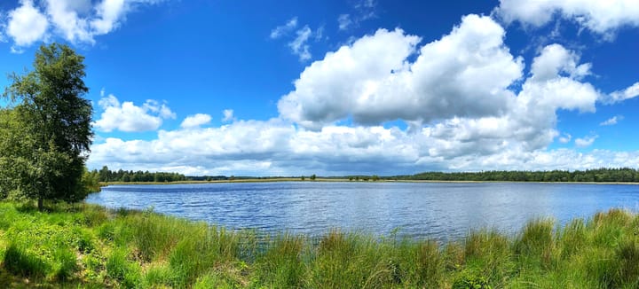 Photo 39 of Meester van Hasseltweg 14