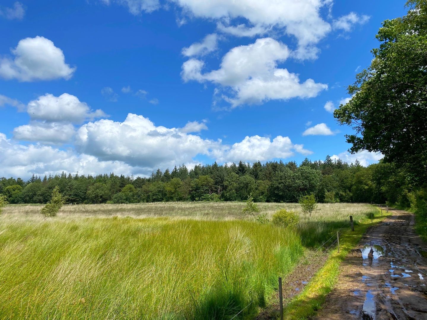 Foto 40 van Meester van Hasseltweg 14