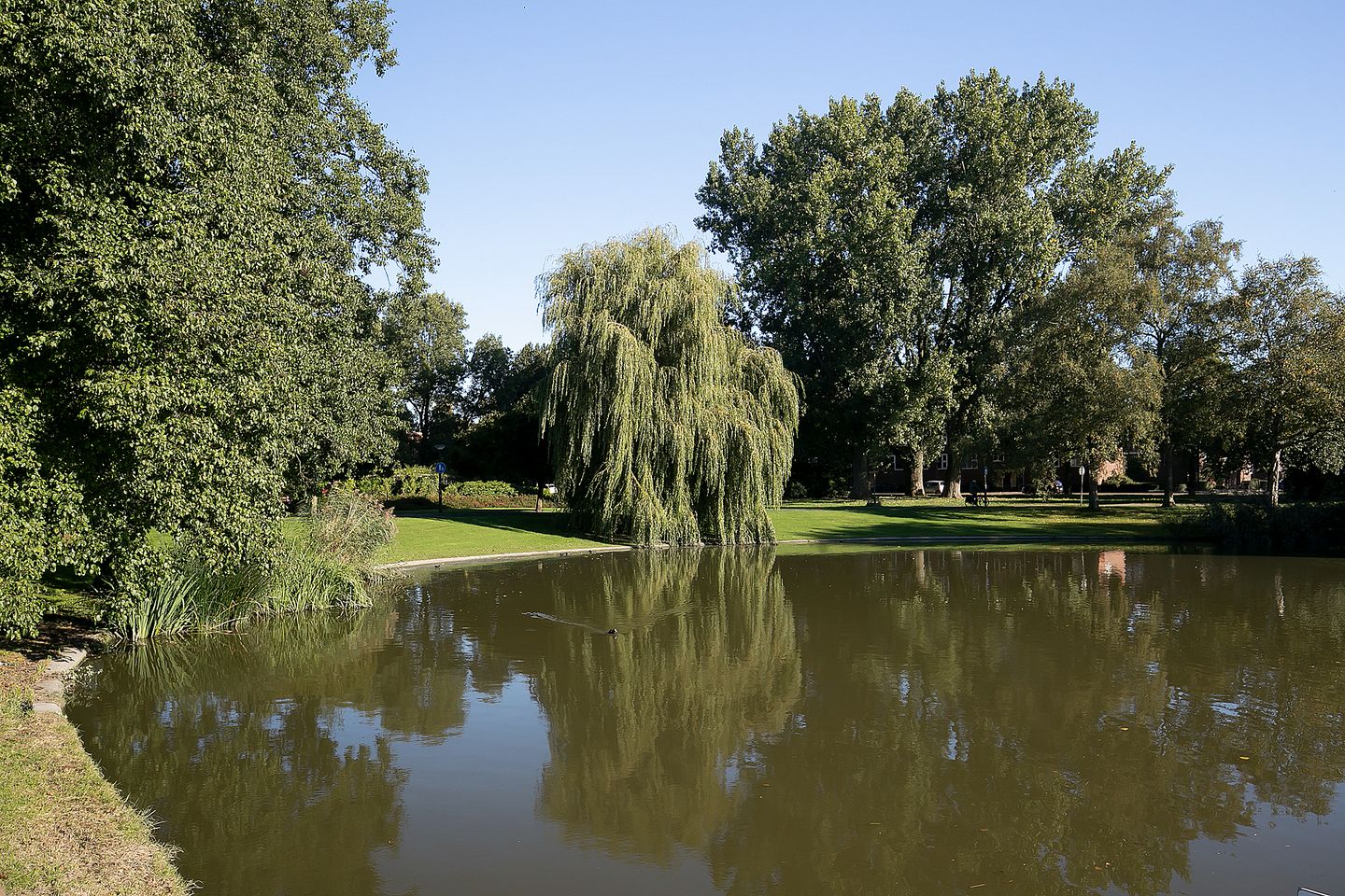 Foto 40 van Kamperfoeliestraat 55