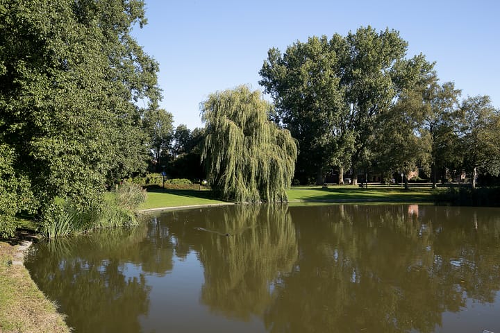 Foto 40 van Kamperfoeliestraat 55