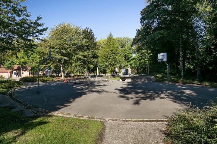 Foto 41 van Kamperfoeliestraat 55