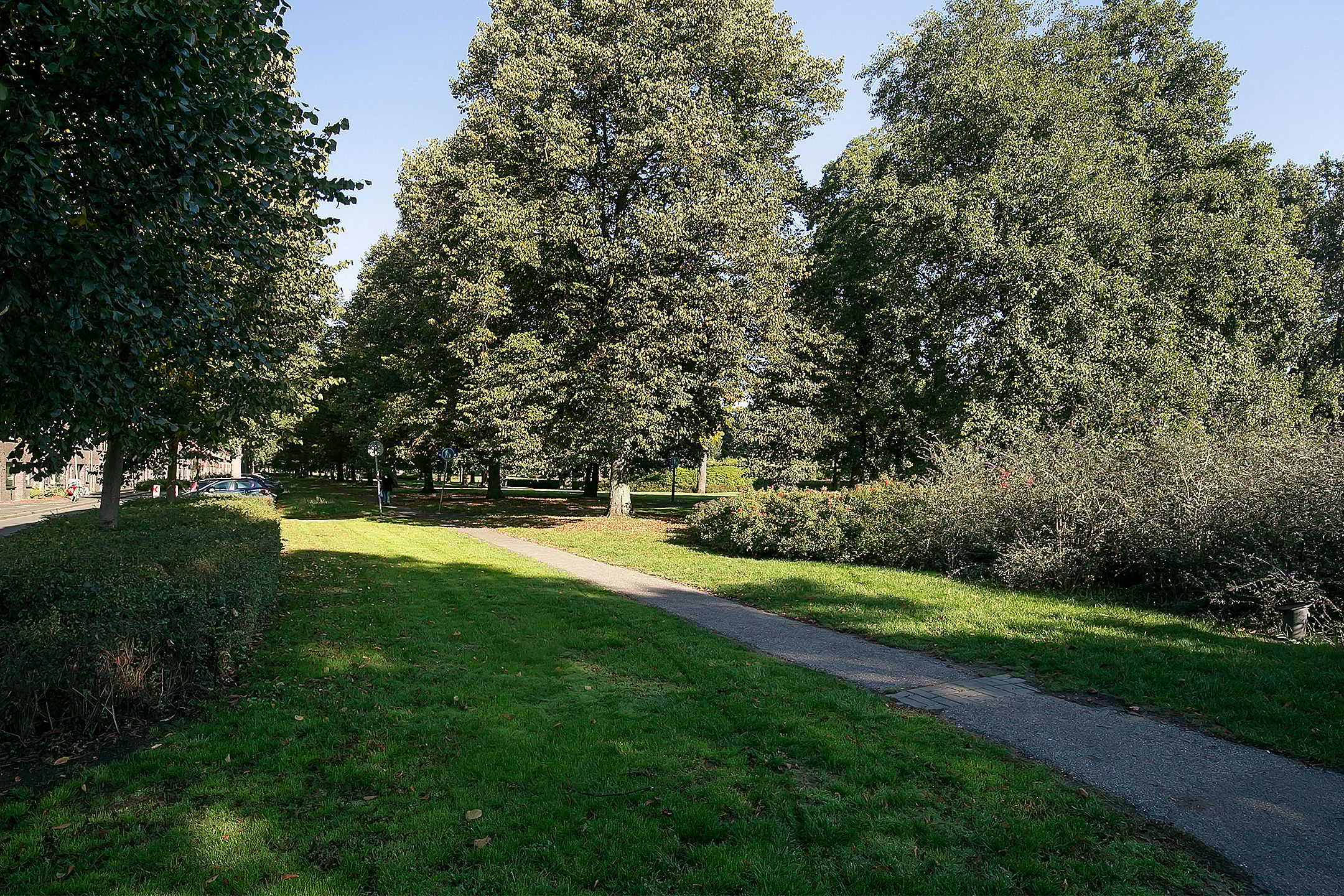 Foto 42 van Kamperfoeliestraat 55