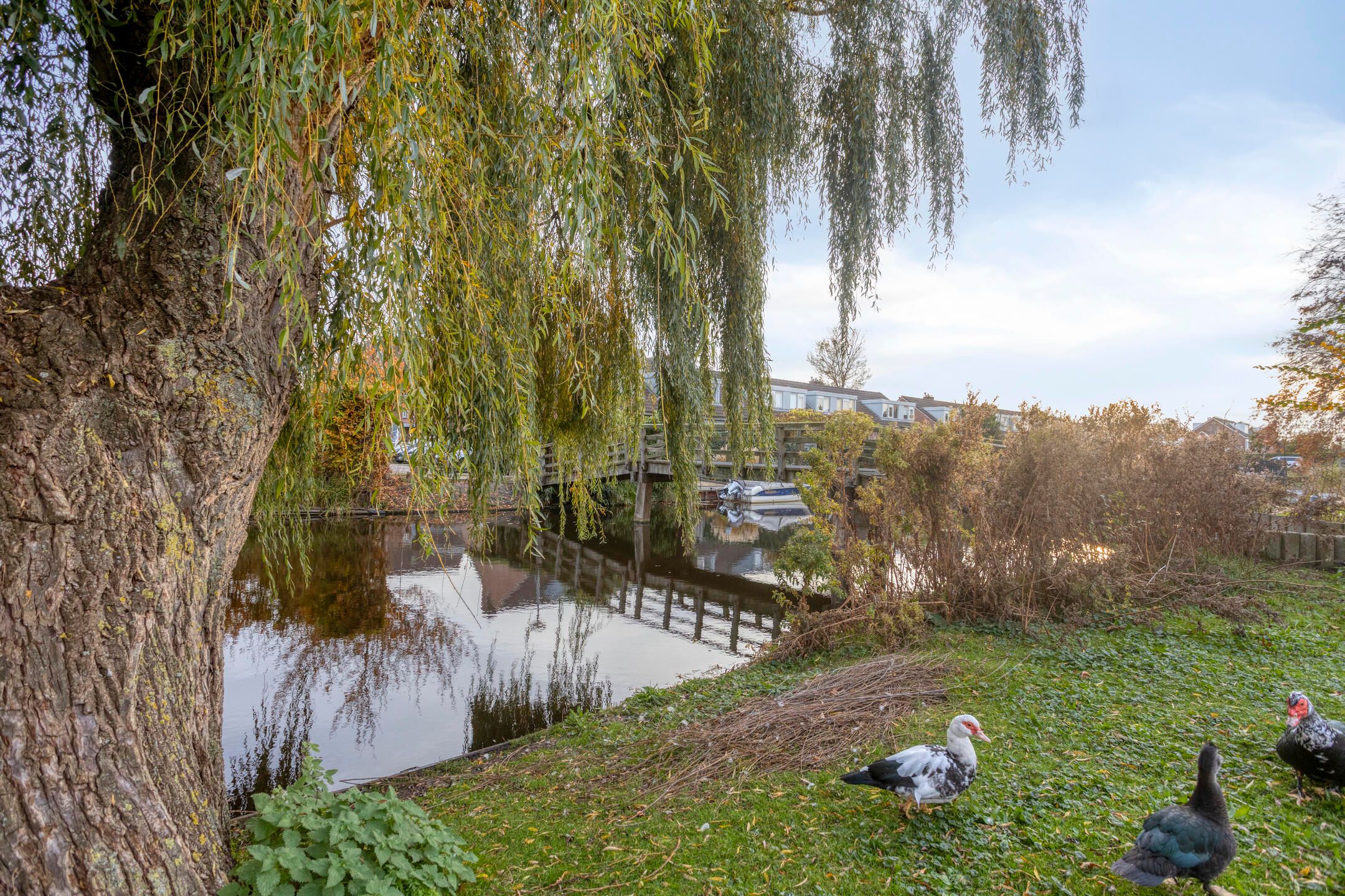 Foto 39 van Korenmolenstraat 13