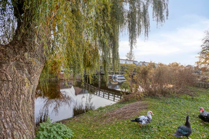 Photo 39 of Korenmolenstraat 13