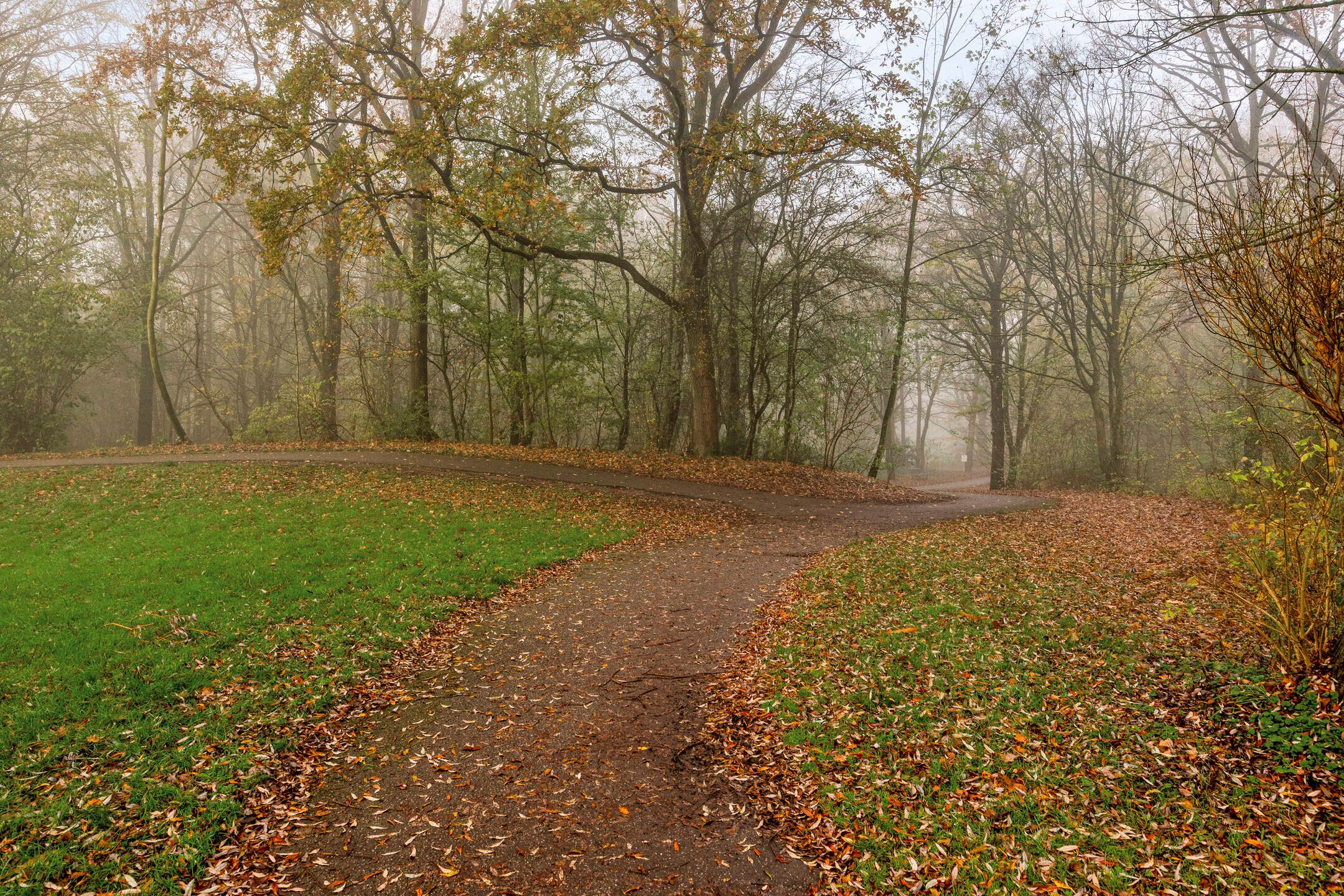 Foto 36 van Eenhoornplaat 22