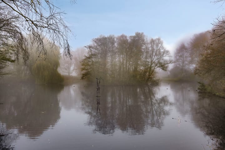 Foto 37 van Eenhoornplaat 22