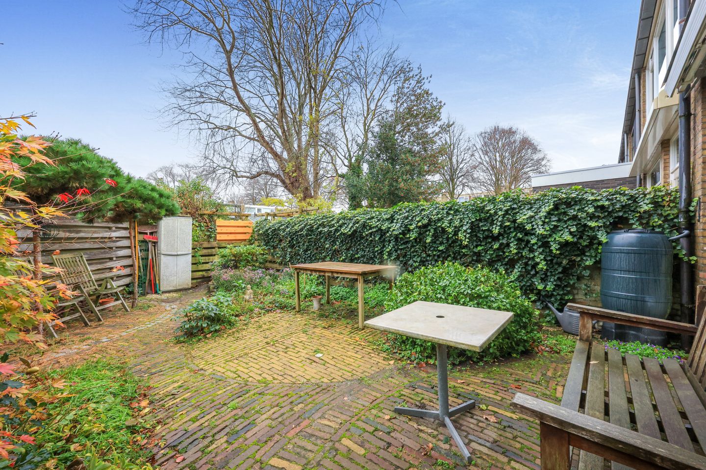 Foto 20 van Jan van Goyenstraat 79