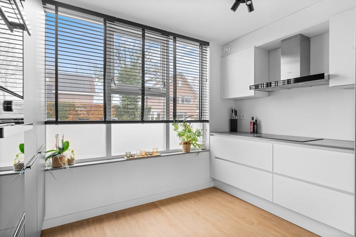 Photo 6 of Vlierbessenlaan 4