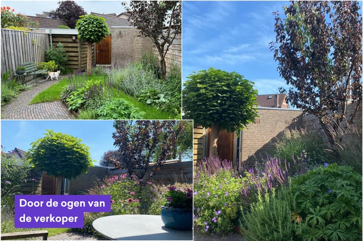 Photo 33 of Vlierbessenlaan 4