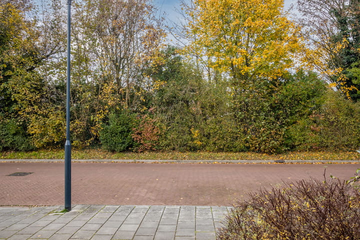 Foto 36 van Berkellaan 45