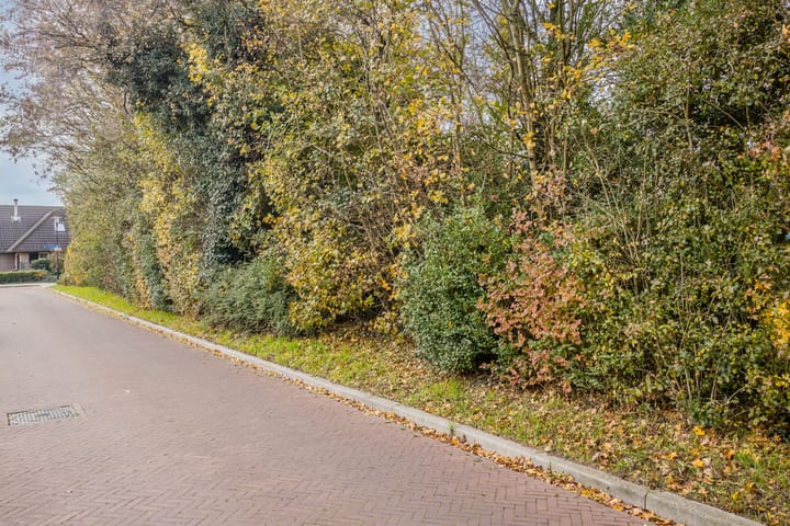 Foto 37 van Berkellaan 45