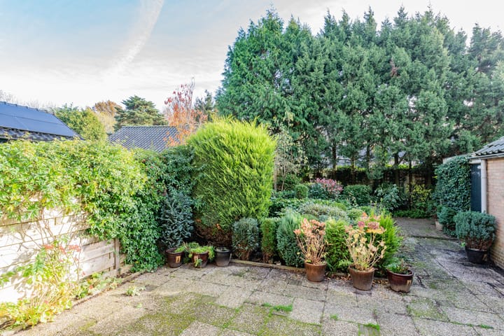 Photo 27 of Oude Renbaan 18