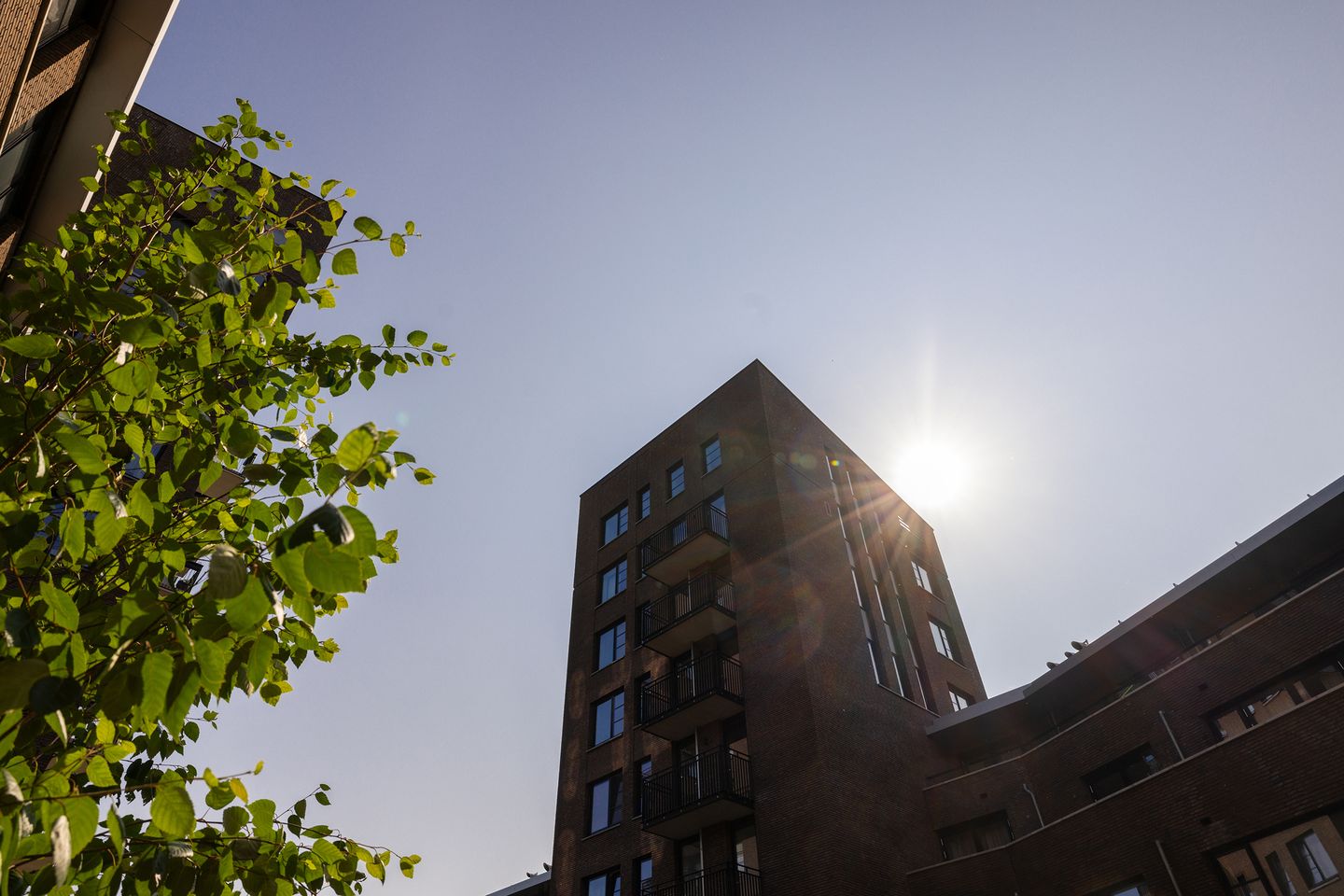 Foto 65 van Phoenixstraat 1-H