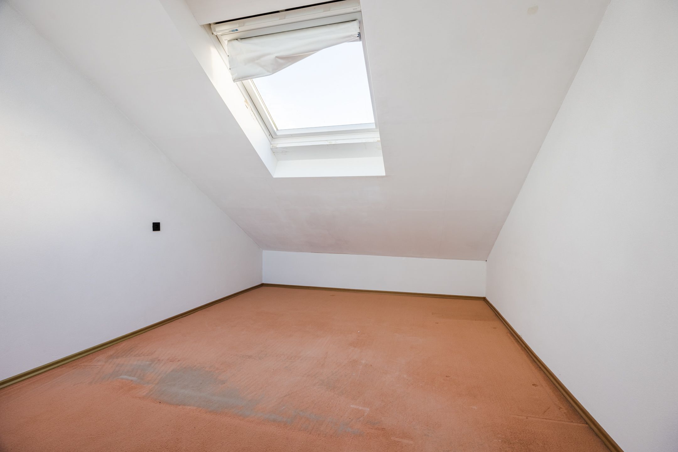 Foto 24 van Berkenpad 7