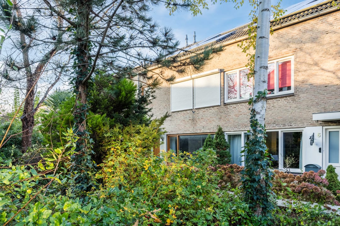 Foto 37 van Berkenpad 7