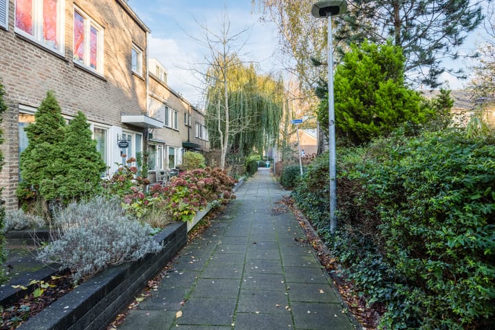 Photo 38 of Berkenpad 7