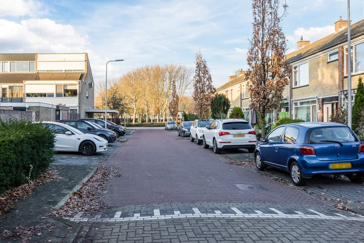 Photo 39 of Berkenpad 7