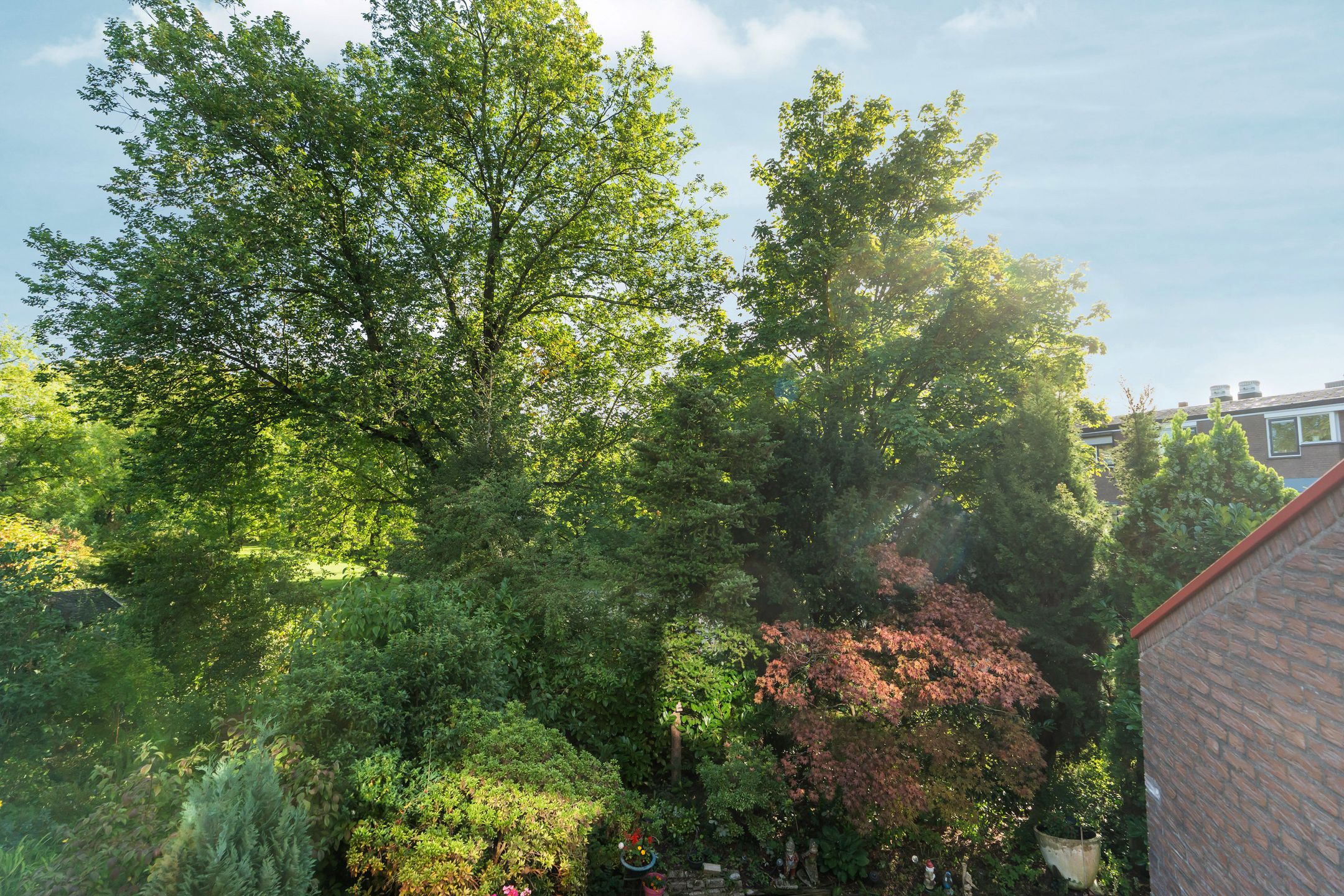 Foto 3 van Groningensingel 1103