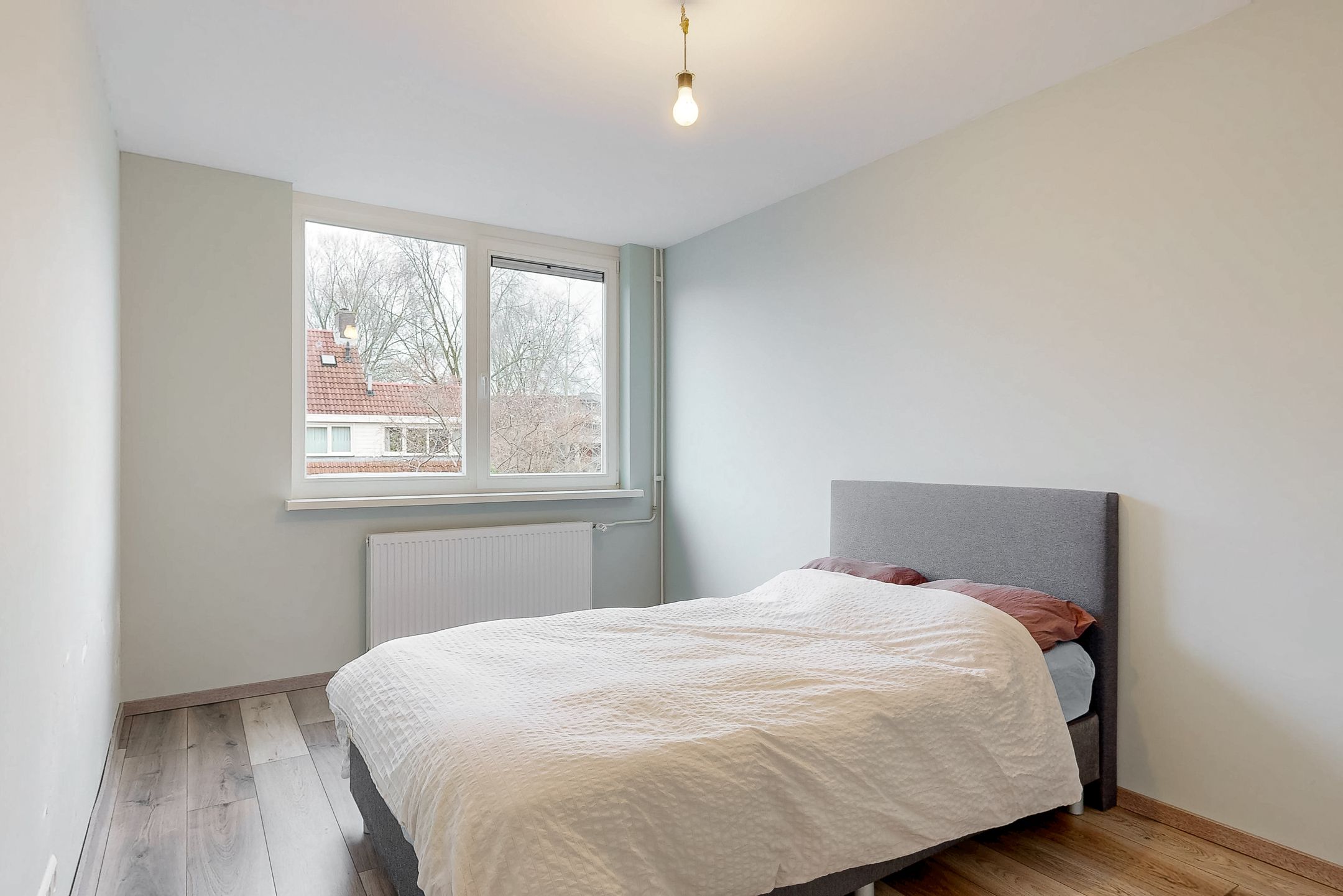 Foto 12 van Pinksterbloem 17