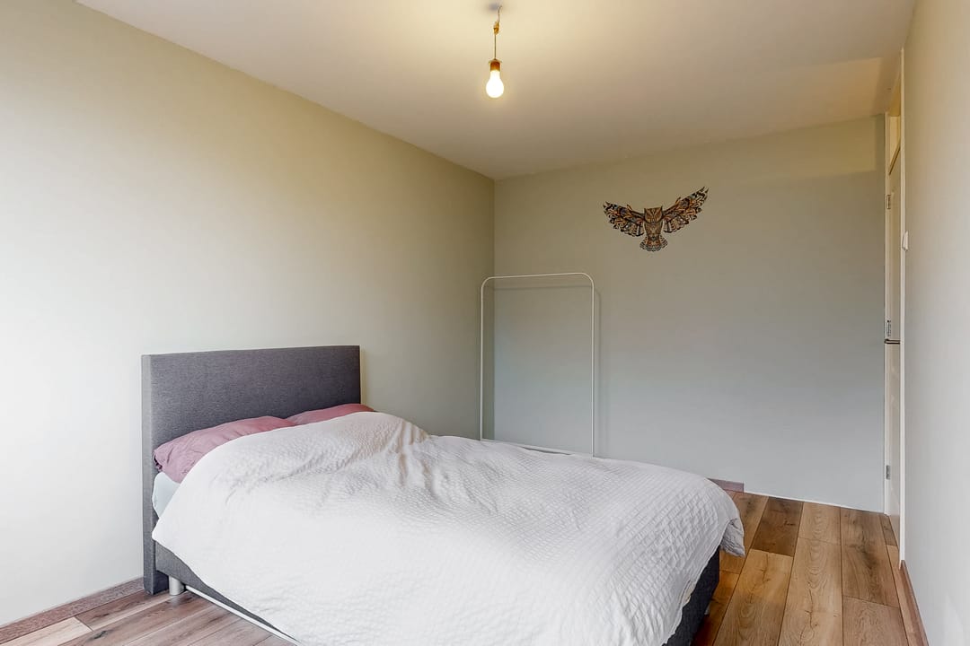 Foto 13 van Pinksterbloem 17