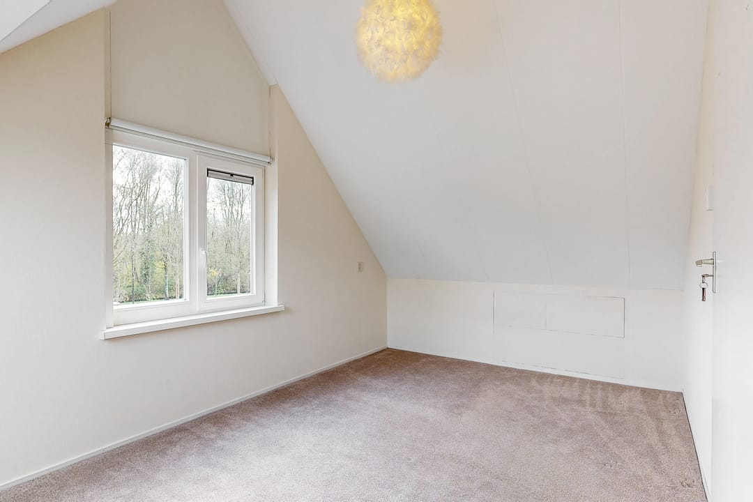 Foto 23 van Pinksterbloem 17