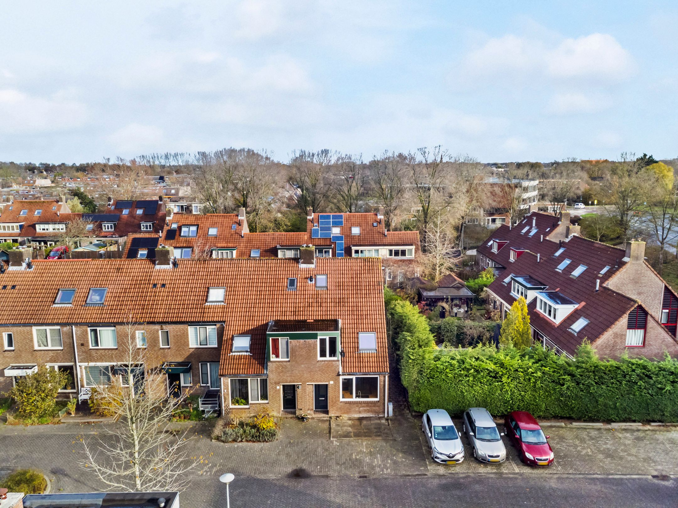 Foto 30 van Pinksterbloem 17