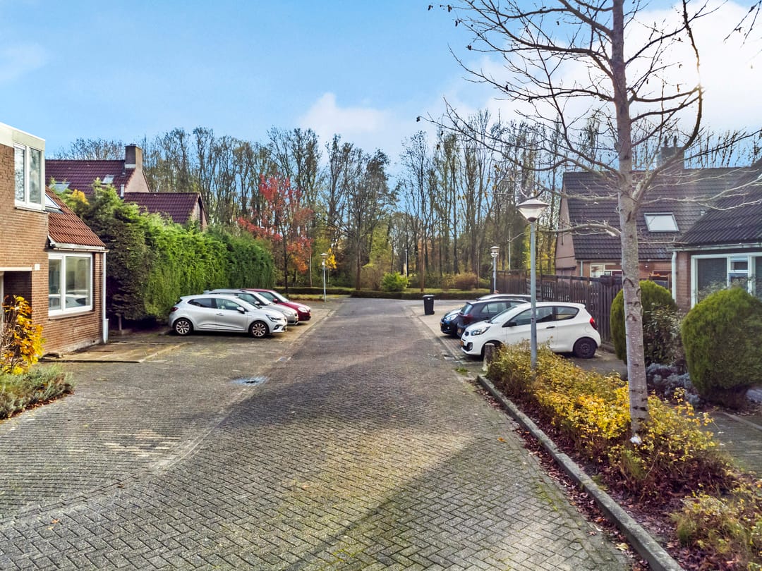 Foto 32 van Pinksterbloem 17