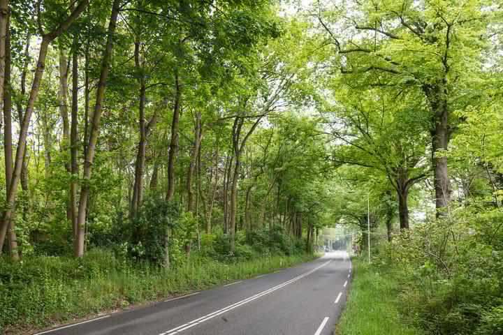 Photo 32 of Vogelenzangseweg 167