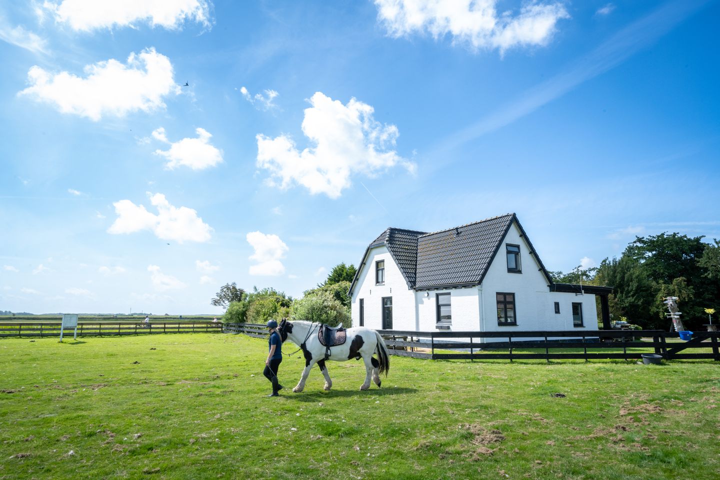 Bekijk foto 5 van Hoornderweg 36