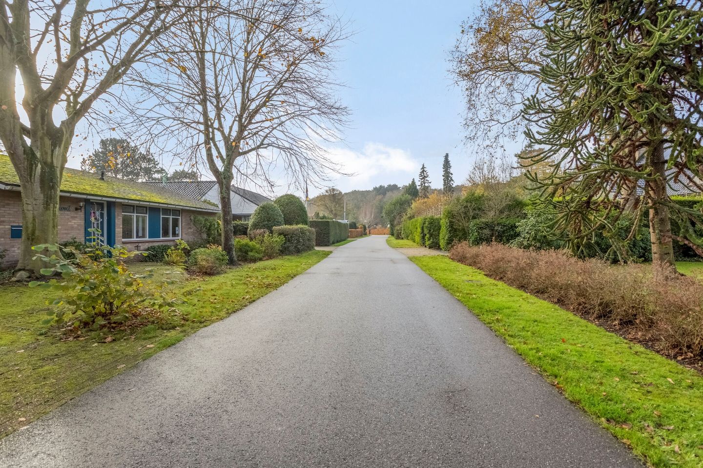 Foto 35 van Hoge Hilleweg 12