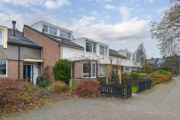 Photo 61 of Loodiep 21