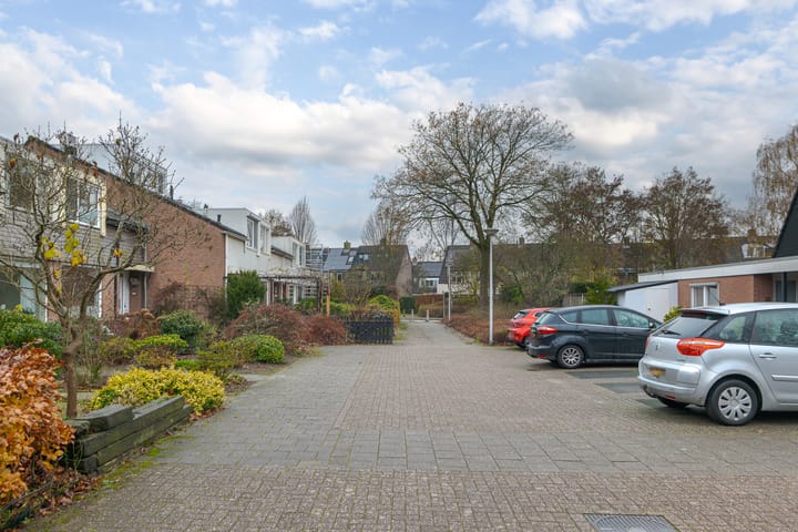 Photo 62 of Loodiep 21