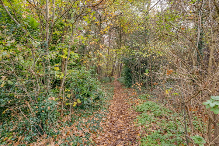 Foto 4 van Dijkshornhof 9