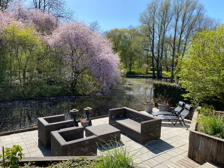 Foto 44 van Speenkruidstraat 69