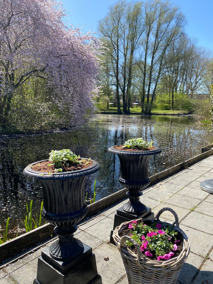 Foto 45 van Speenkruidstraat 69