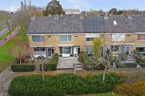 undefined main image