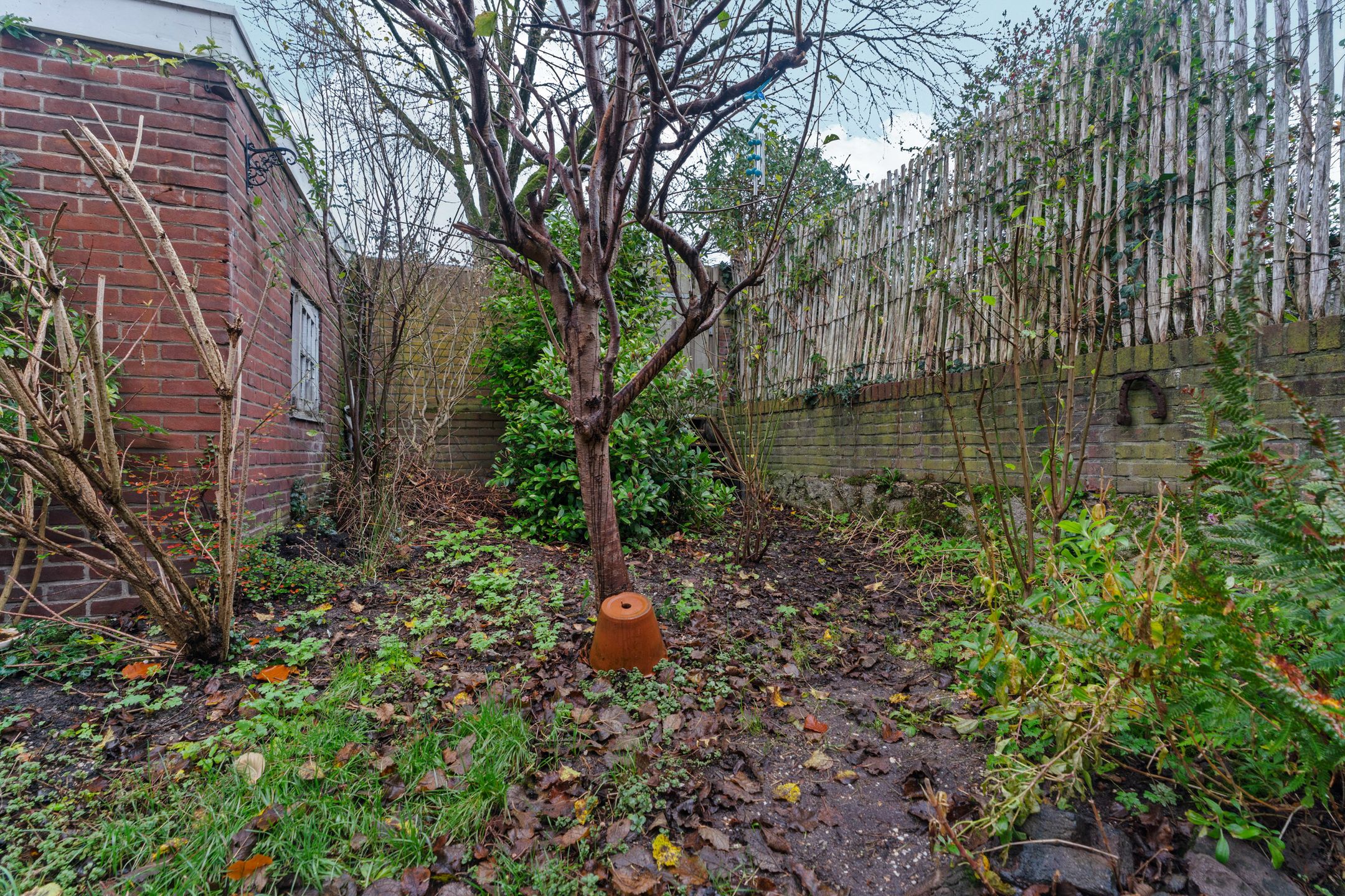 Foto 39 van van Heutszstraat 57