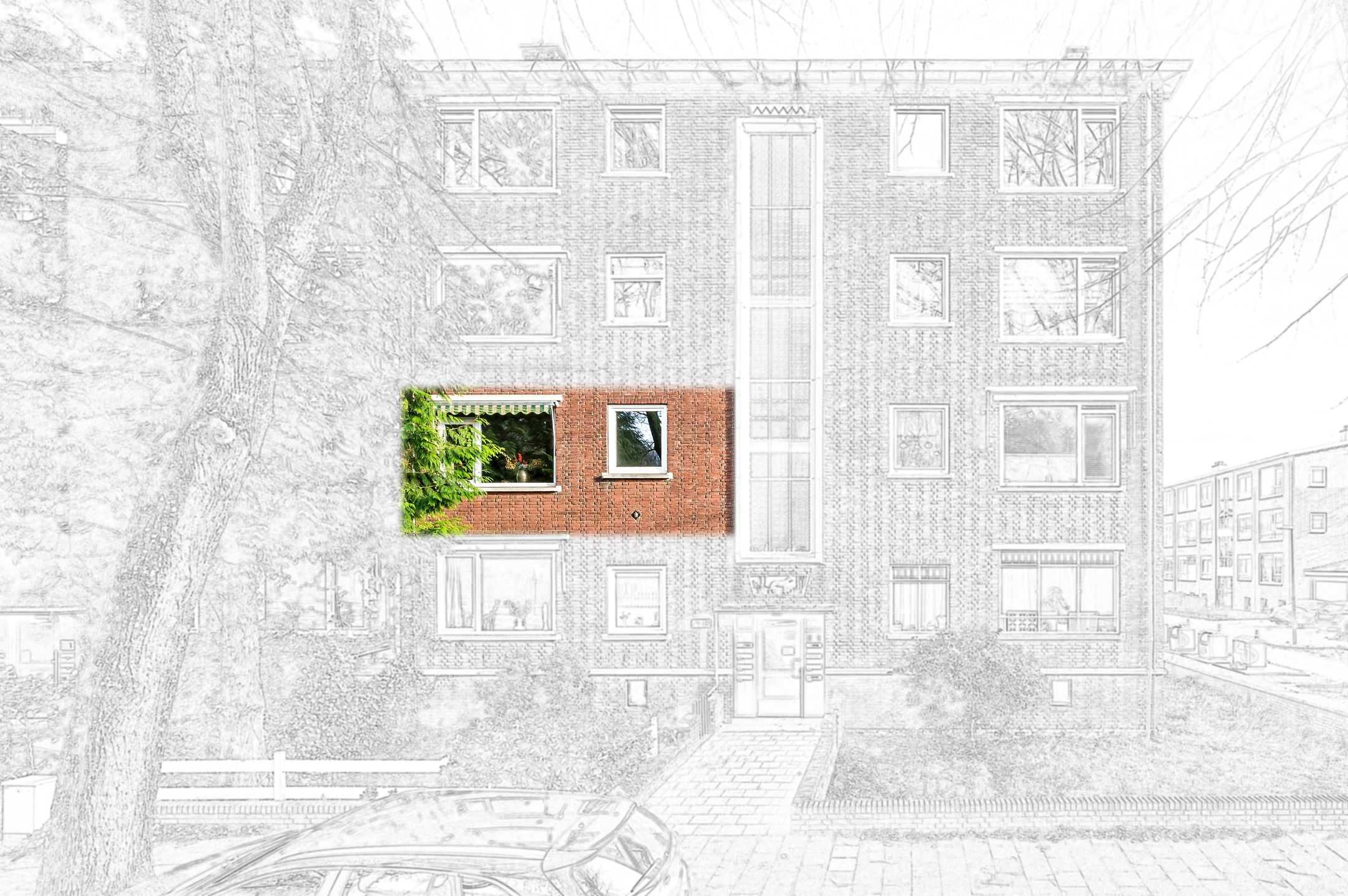 Photo 6 of Burgemeester Elsenlaan 131