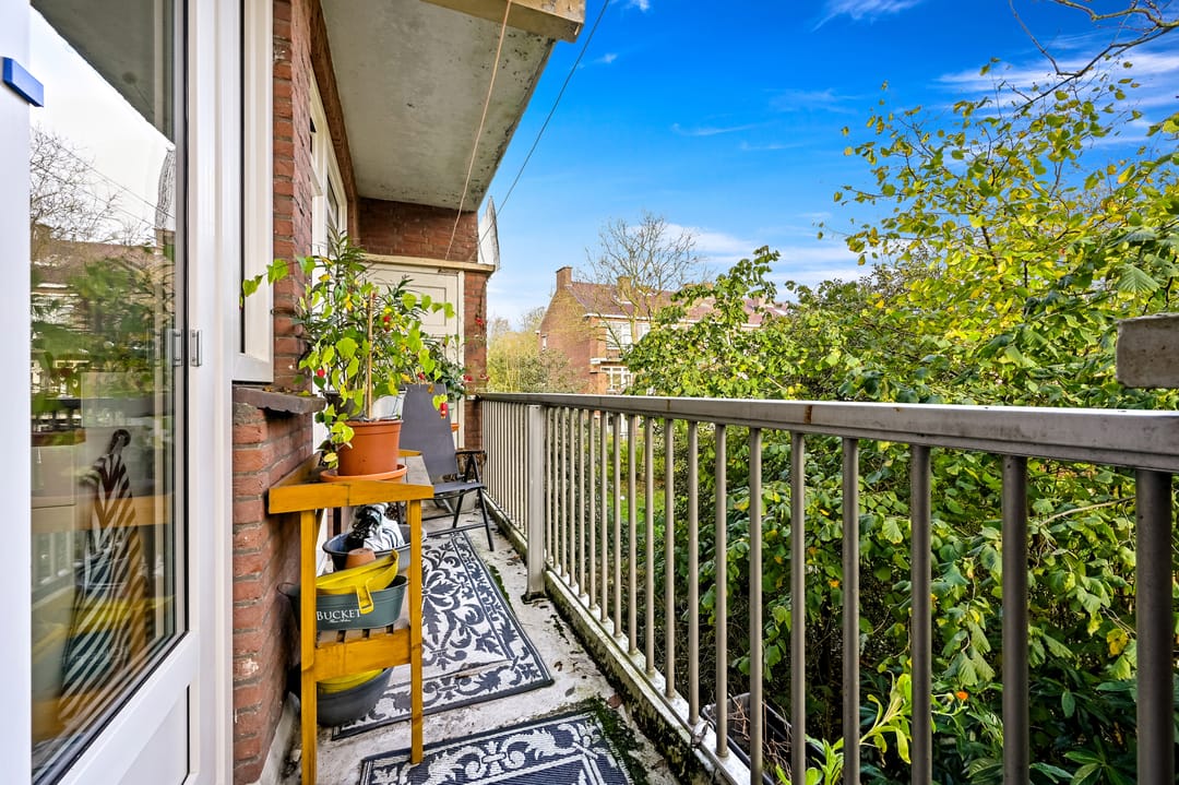 Photo 16 of Burgemeester Elsenlaan 131