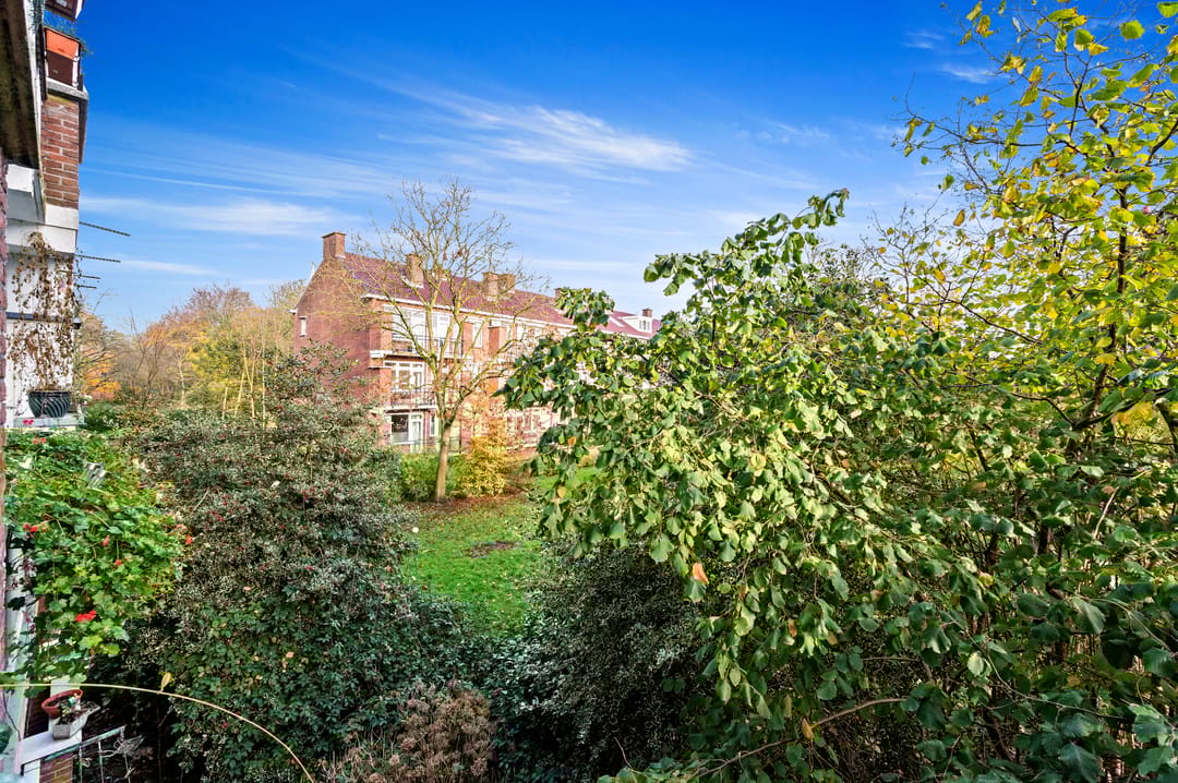 Photo 17 of Burgemeester Elsenlaan 131