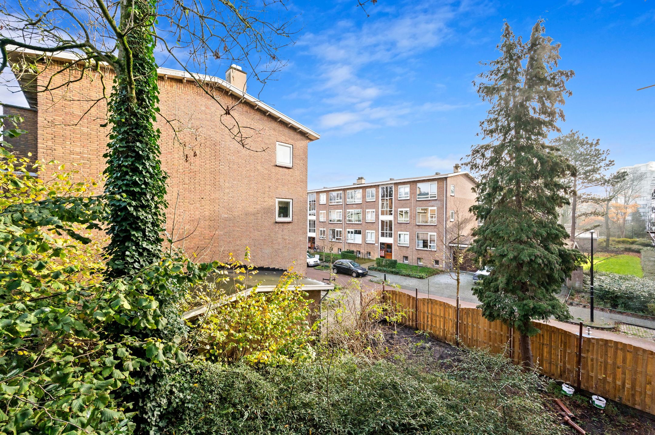 Photo 18 of Burgemeester Elsenlaan 131