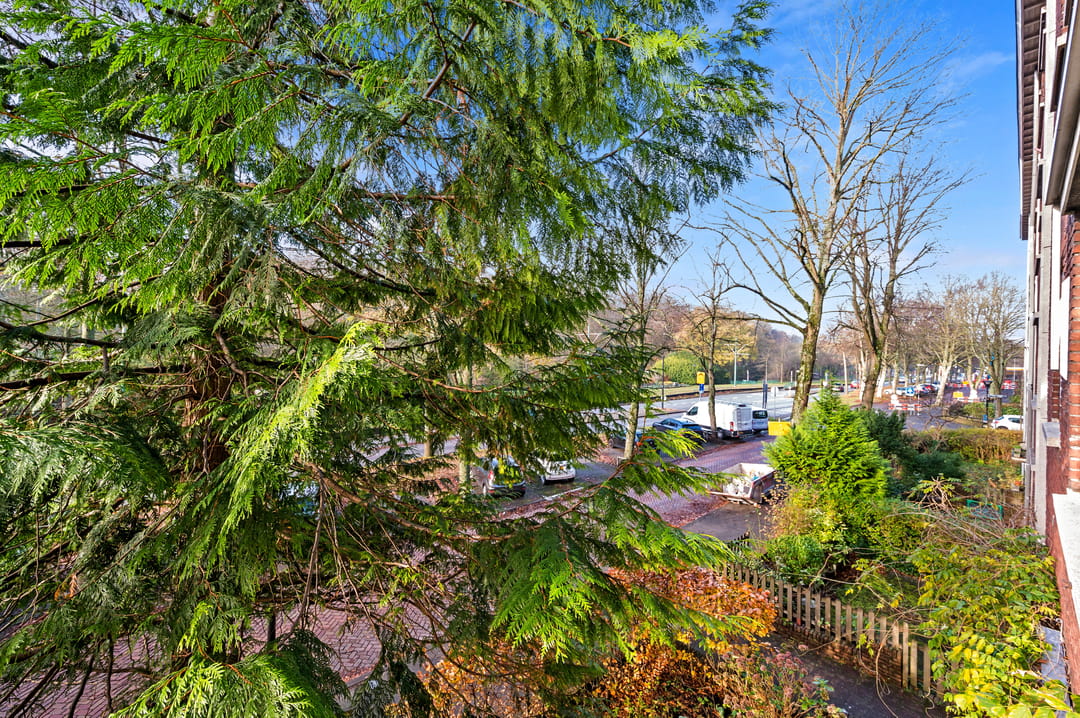 Photo 26 of Burgemeester Elsenlaan 131