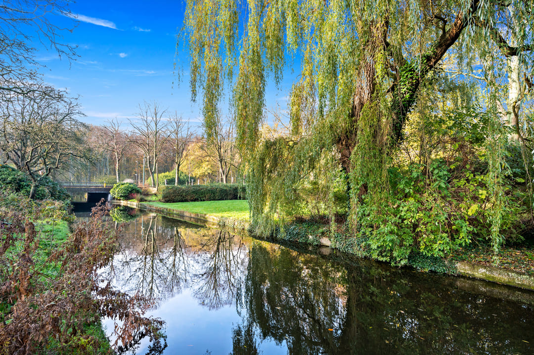 Photo 31 of Burgemeester Elsenlaan 131