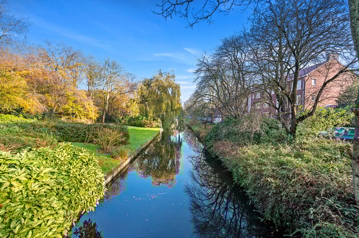 Photo 34 of Burgemeester Elsenlaan 131