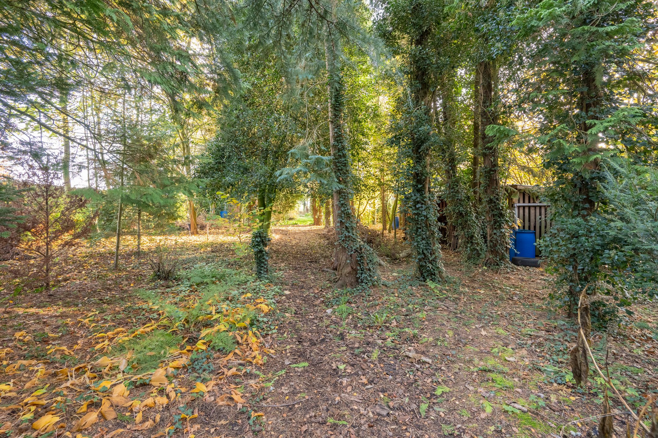 Foto 24 van Hoofdkanaal OZ 92