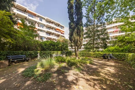 Dennenlaan thumbnail